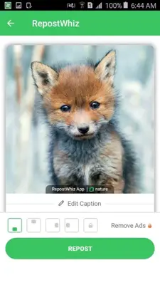 RepostWhiz android App screenshot 2